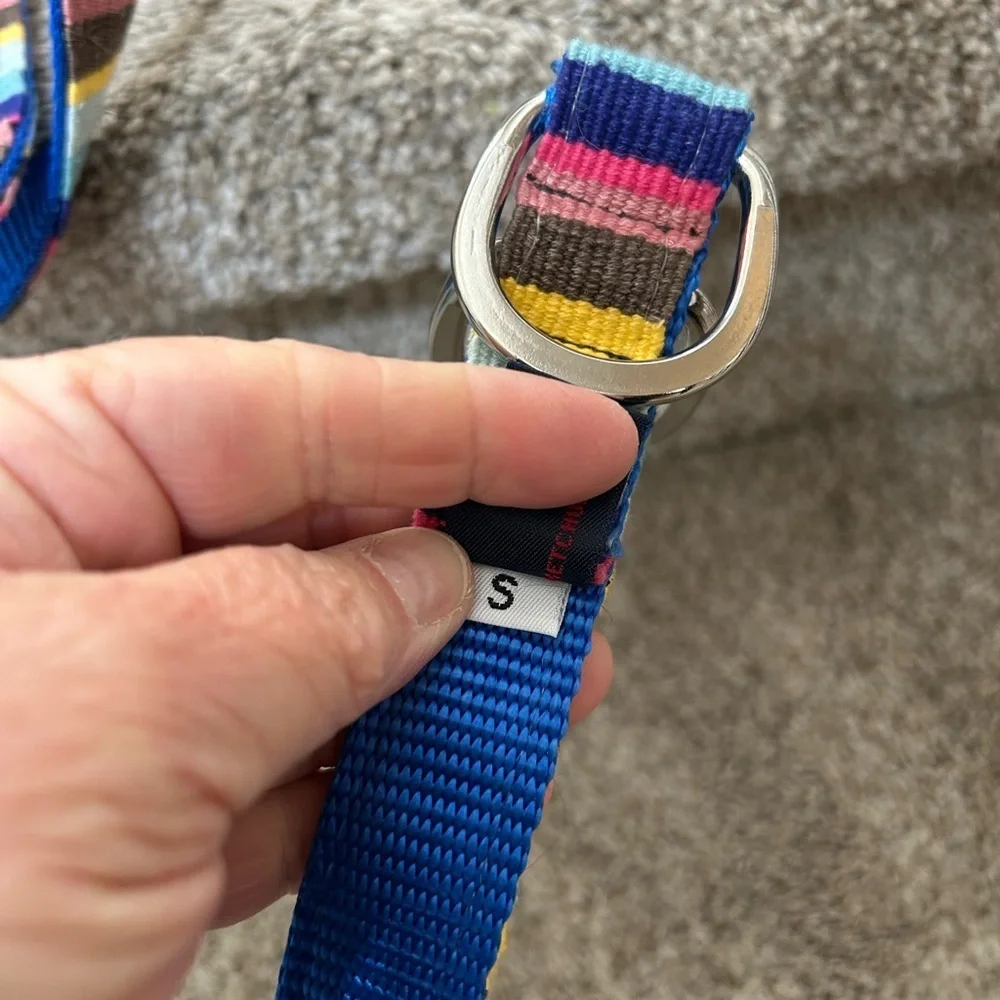 A Tail We Could Wag women’s striped belt with silver buckle. Colorful. Dog lover - Picture 5 of 10